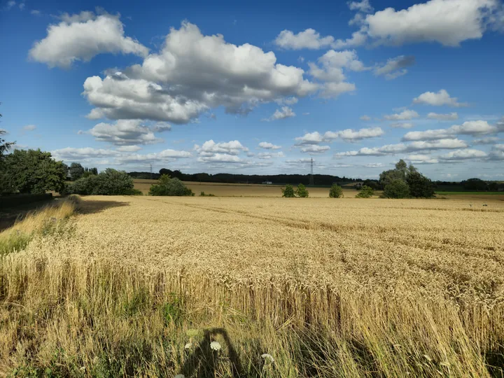 Bellegem, West-Vlaanderen (Belgium)